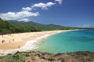 beach — ocean — palm-trees