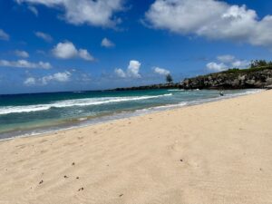 beach β ocean β palm-trees