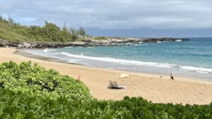 beach — ocean — palm-trees