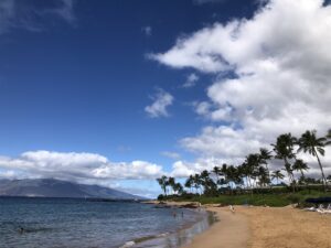 beach โ ocean โ palm-trees