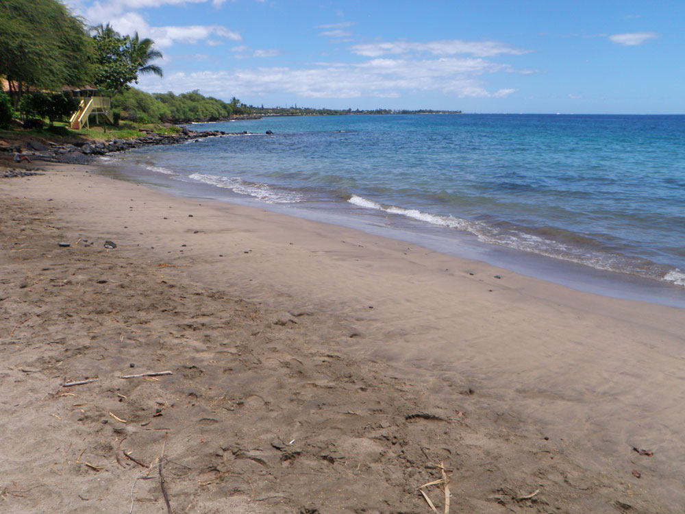 beach — ocean — palm-trees