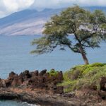 Way back in November 2011 I had a chance to spend a few days on Maui - it was my first time there in over 10 years and I had forgotten how nice it was. I did the normal things an Alaskan going to Hawa — Appellate Court Confirms Higher Property Taxes for Wailea Palms Units | Maui Tom's News