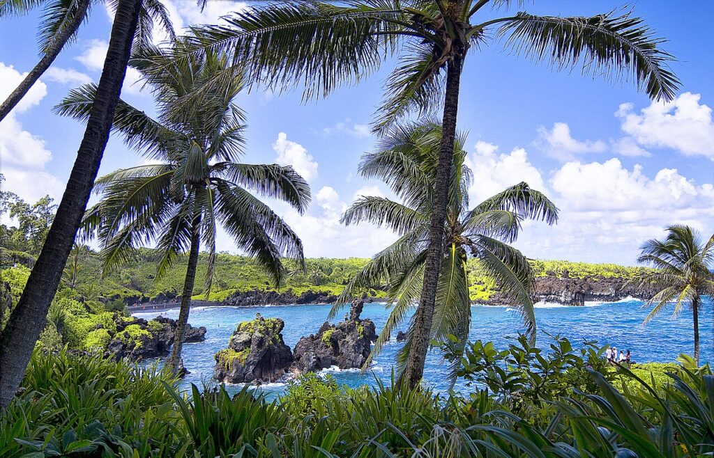 500px provided description: Wai'anapanapa Beach, also known as Pa'iloa Beach, is situated in the midst of the beautiful 120-acre Wai'anapanapa State Park. [#paradise ,#Beach ,#Hawaii ,#Maui ,#Black Sa — Hidden Black Sand Beach Near Makena Offers Unique Tourist Experience | Maui Tom's News