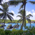 500px provided description: Wai'anapanapa Beach, also known as Pa'iloa Beach, is situated in the midst of the beautiful 120-acre Wai'anapanapa State Park. [#paradise ,#Beach ,#Hawaii ,#Maui ,#Black Sa — Hidden Black Sand Beach Near Makena Offers Unique Tourist Experience | Maui Tom's News