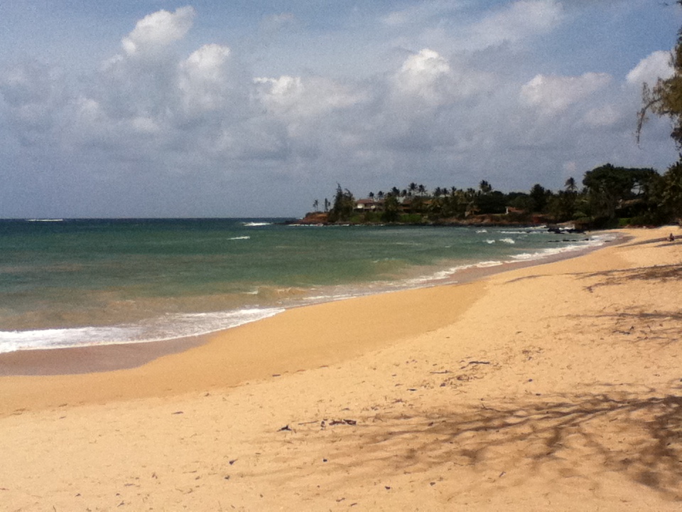 Paia Beach looking east.jpg — Baldwin Beach Park Hosts Community Cleanup for World Environment Day | Maui Tom's News