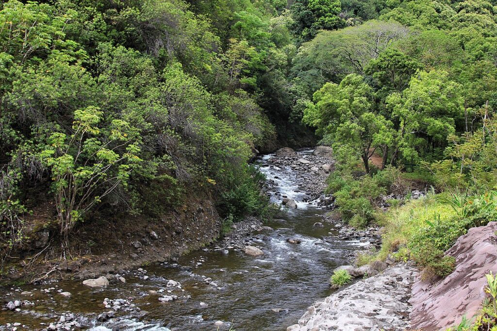Iao Stream in Iao Valley State Park, Maui, Hawaii. — Economic Forecast Shows Tourism Slowdown and Rising Costs for Hawaii | Maui Tom's News