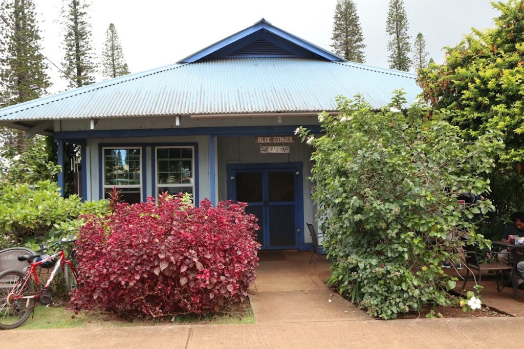 Front view of Blue Ginger Café, a small blue building with a metal roof, red shrubs in front, and bicycles nearby on the left.