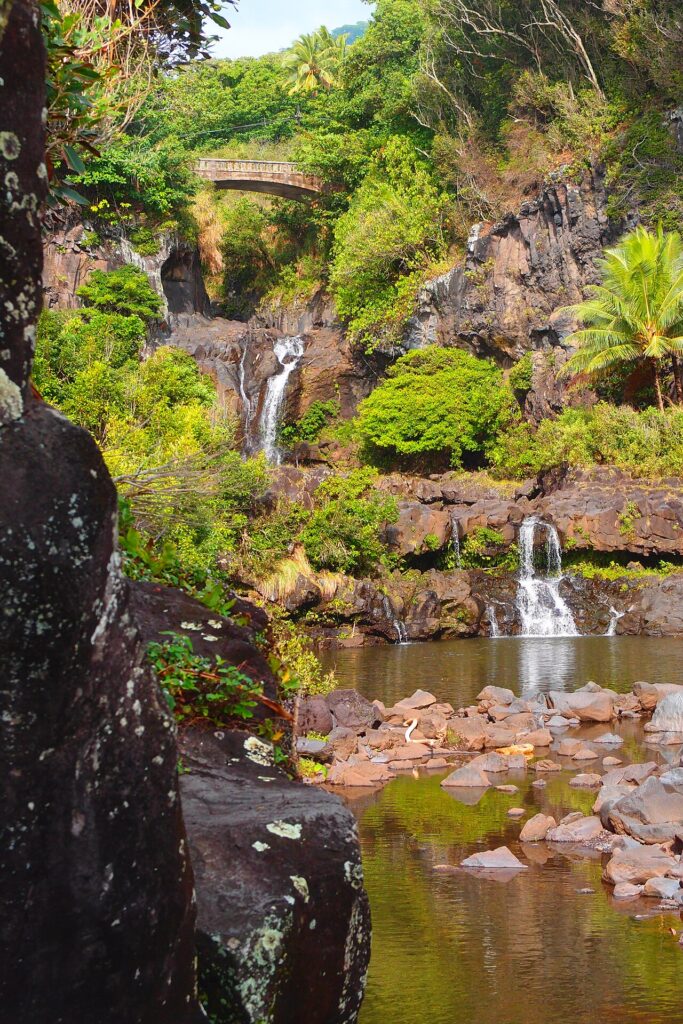 "Seven Sacred" pools — Grammy Winner Paul Wertico to Perform at Ritz-Carlton Maui May 21 | Maui Tom's News