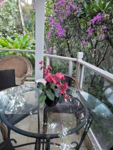 Wailea Grand Champions Maui — HGTV Stars Owe $40K in Fines for Unpermitted Vacation Rentals | Maui Tom's News