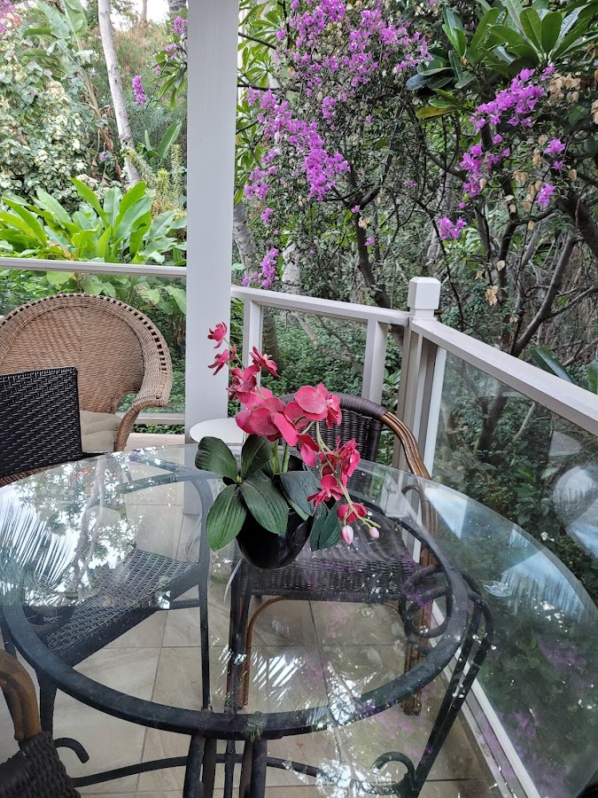 Wailea Grand Champions Maui — HGTV Stars Owe $40K in Fines for Unpermitted Vacation Rentals | Maui Tom's News