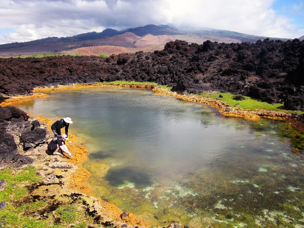 “An anchialine pond named Skippy’s Pond at the ‘Ahihi-Kina’u Natural Area Reserve on South Maui in the Hawaiian Islands. Anchialine habitats consist of coastal, but landlocked ponds, pools, and caves — New Federal Reserve Chair Confirmed as Congressional War Vote Fails | Maui Tom's News