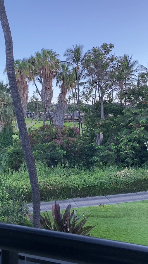 Wailea Beach Resort Marriott Maui — New Registry Platform Tracks Hawaii STR Compliance Amid 2026 Law Changes | Maui Tom's News