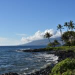 New Travel Assistance Service Launches for Visitors with Disabilities - Maui Tom's Vacation Rental Cleaning & Maintenance a beach with palm trees and a mountain in the background — New Travel Assistance Service Launches for Visitors with Disabilities | Maui Tom's News