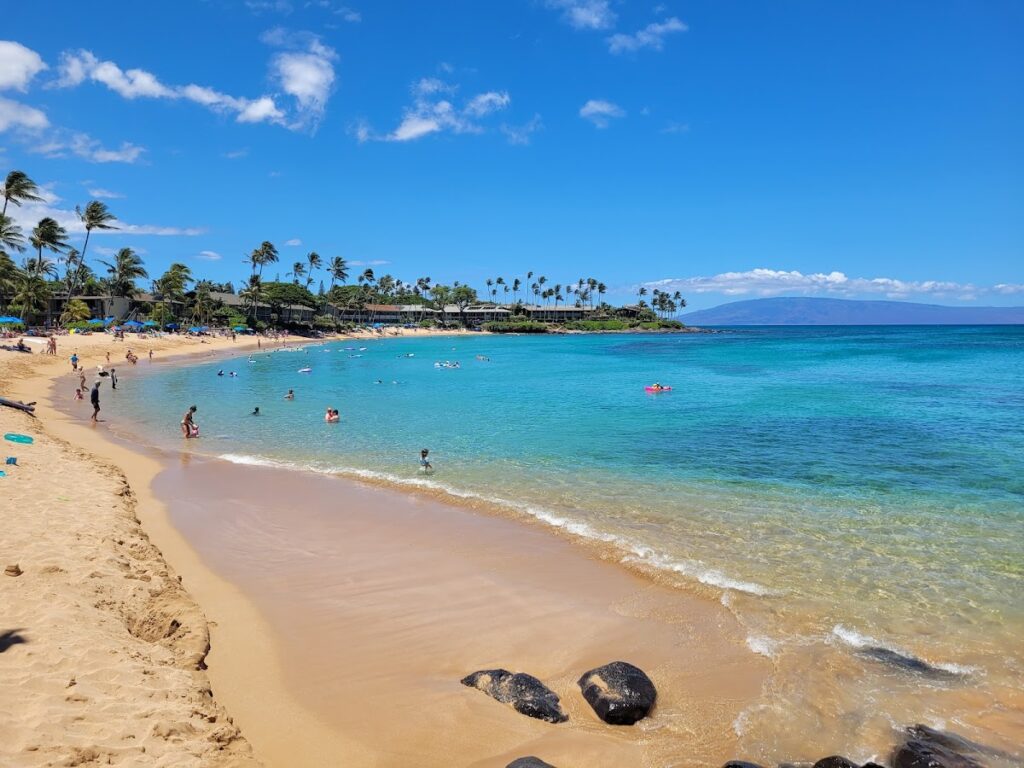 Napili Bay Maui clear water — Shark Attack Near Diamond Head Prompts Beach Warnings on Oahu | Maui Tom's News