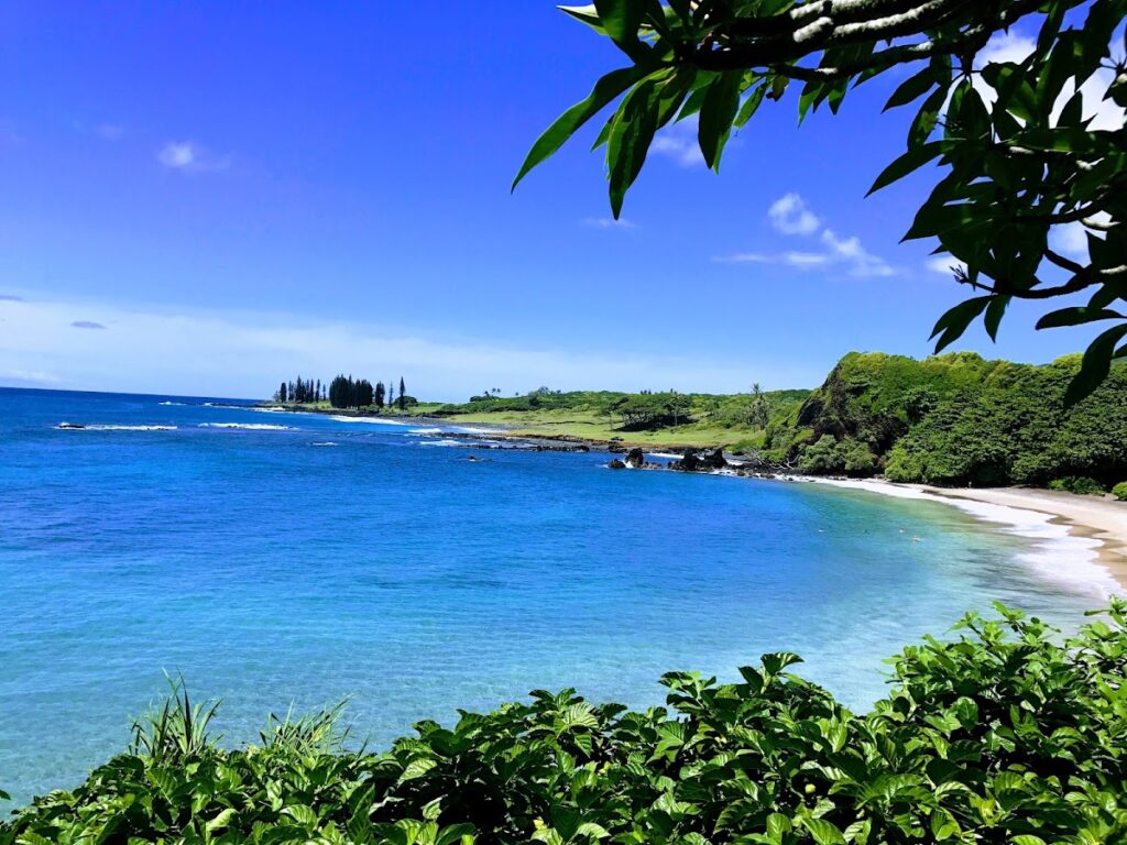 Hamoa Beach Hana Maui — State Launches Virtual Seabird Sanctuary Tours for Education Outreach | Maui Tom's News