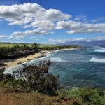 green sea turtle Maui Hawaii beach — State Wildlife Division Seeks Resident Input on Axis Deer Population Impact | Maui Tom's News