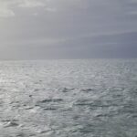 Timeshare Rental Platform RedWeek Grows as Hawaii Vacation Option - Maui Tom's Vacation Rental Cleaning & Maintenance Valley Isle Resort Maui Lahaina — Timeshare Rental Platform RedWeek Grows as Hawaii Vacation Option | Maui Tom's News
