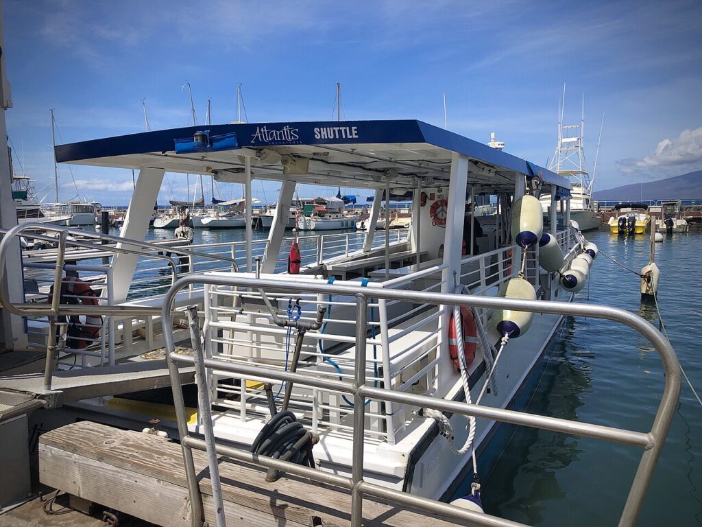 Lahaina Harbor — Tour Company PacWhale Eco-Adventures to Resume Lahaina Harbor Operations | Maui Tom's News