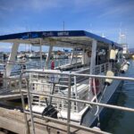 Lahaina Harbor — Tour Company PacWhale Eco-Adventures to Resume Lahaina Harbor Operations | Maui Tom's News
