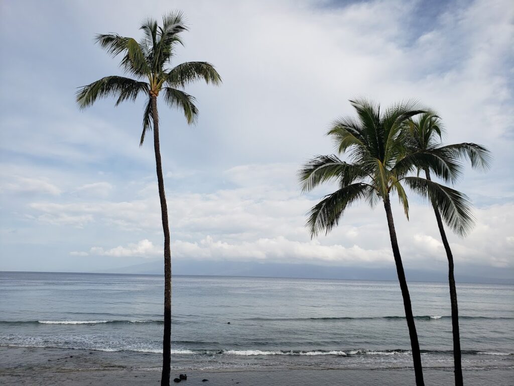 Papakea Resort Maui — Tourist Entry Fees and Higher Taxes Roll Out Globally in 2026 | Maui Tom's News