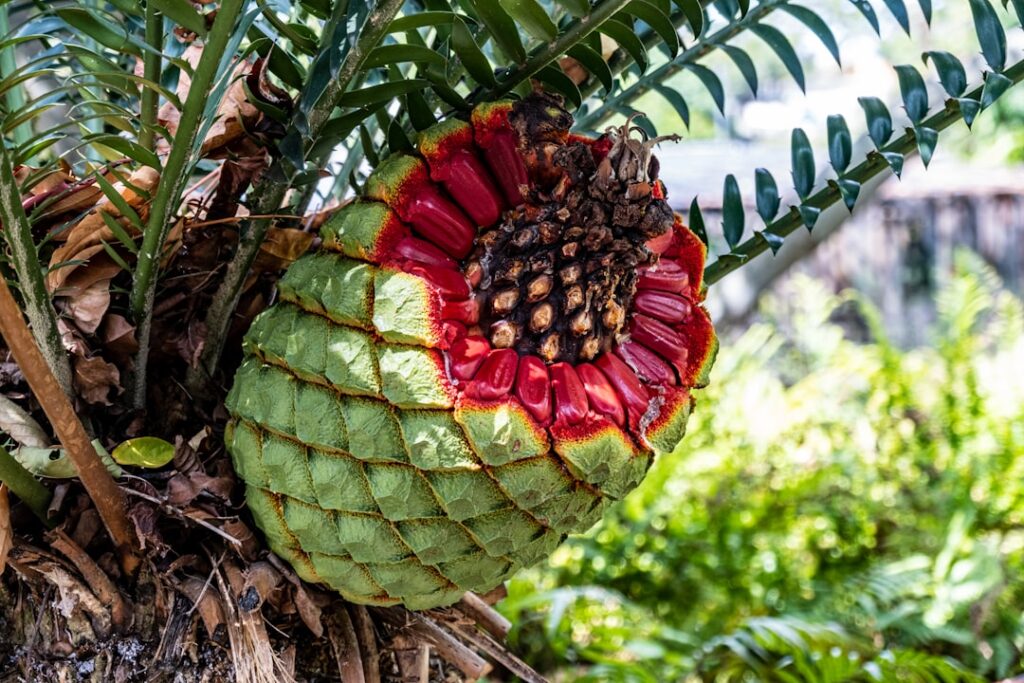 a close up of a flower on a tree — Weekend Road Closures on Makawao Avenue Continue Through June 21 | Maui Tom's News