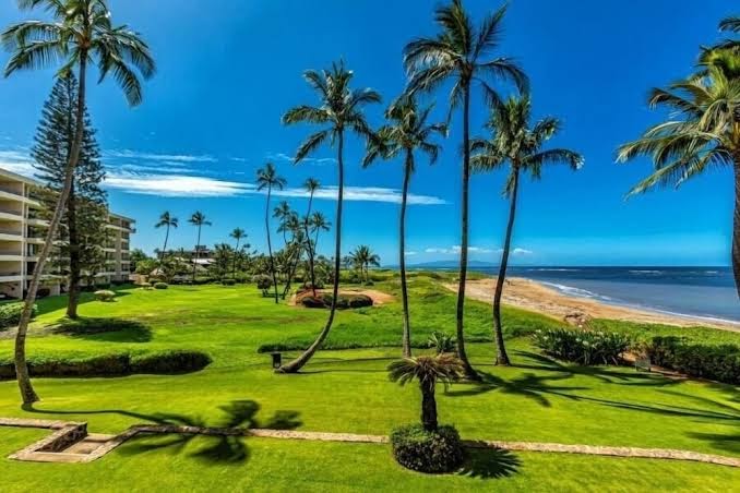 Menehune Shores Kihei Maui condos — Article About Belfast Violence Has No Relevance to Maui Property Owners | Maui Tom's News