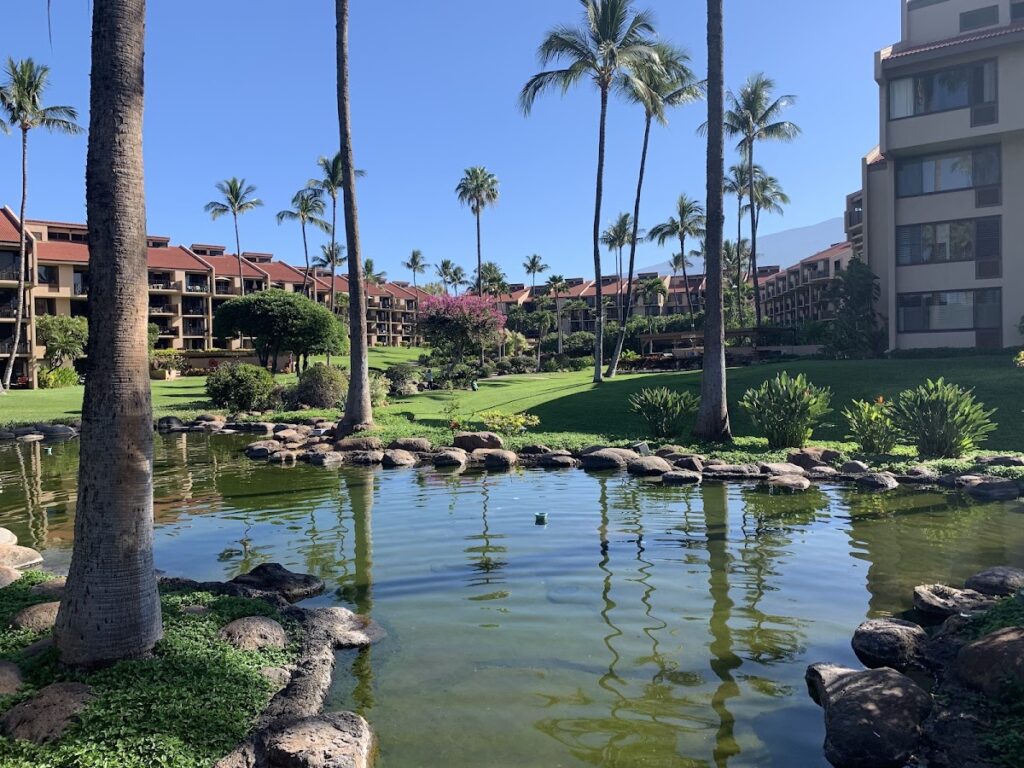 Kamaole Sands Kihei Maui — Fatal Shooting at San Diego Vacation Rental Results in Murder Charges | Maui Tom's News