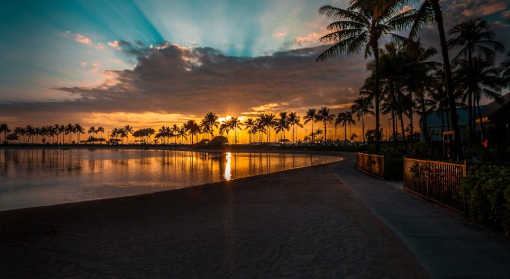 sunlight pierce through palm tree line — Four-Man Rowing Crew Halfway Through Journey from Washington to Maui | Maui Tom's News