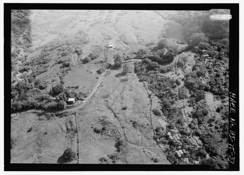 Aerial view of a rural hillside with scattered trees, fields, and a winding dirt road with a few houses nearby
