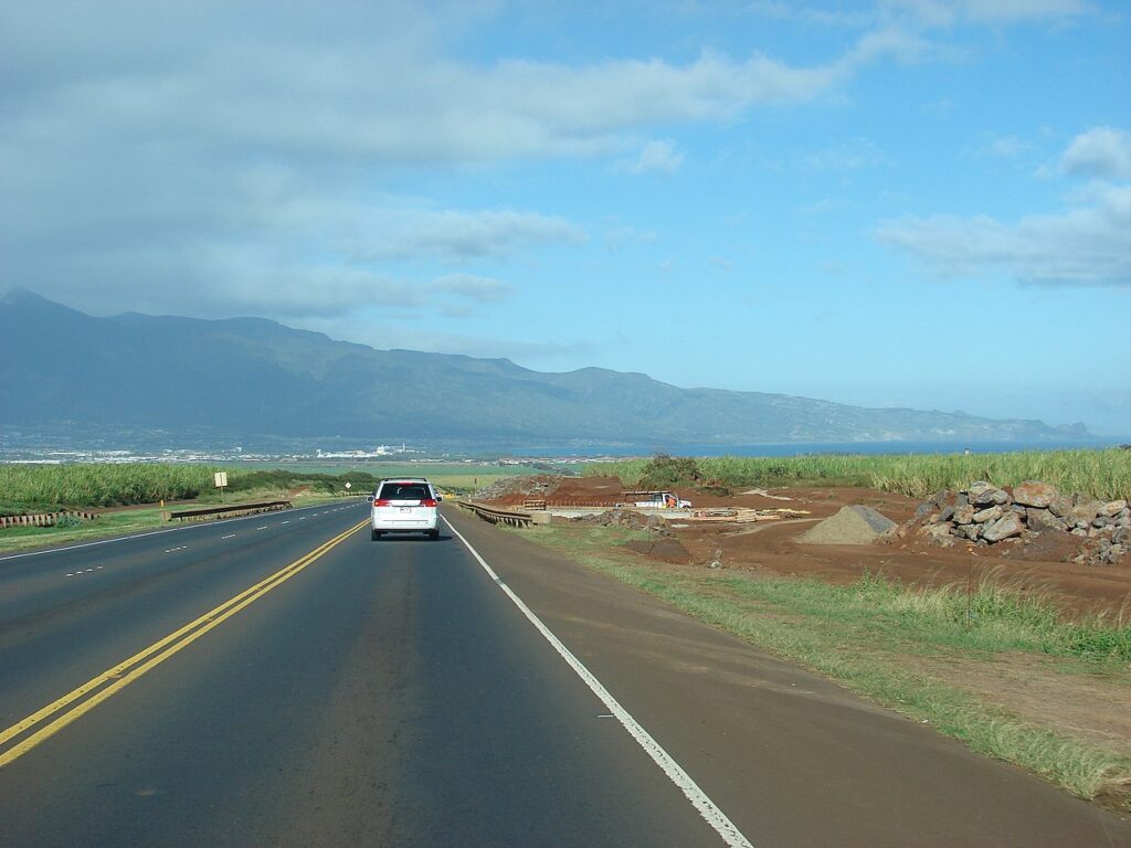 Saccharum officinarum (Ko, sugarcane) Highway construction at Haleakala Hwy, Maui, Hawaii. February 07, 2007 [http://www.starrenvironmental.com/images/search/?q=070207-4253 #070207-4253</a> - — Kauai Road Construction Creates Lane Closures Through June 12 | Maui Tom's News