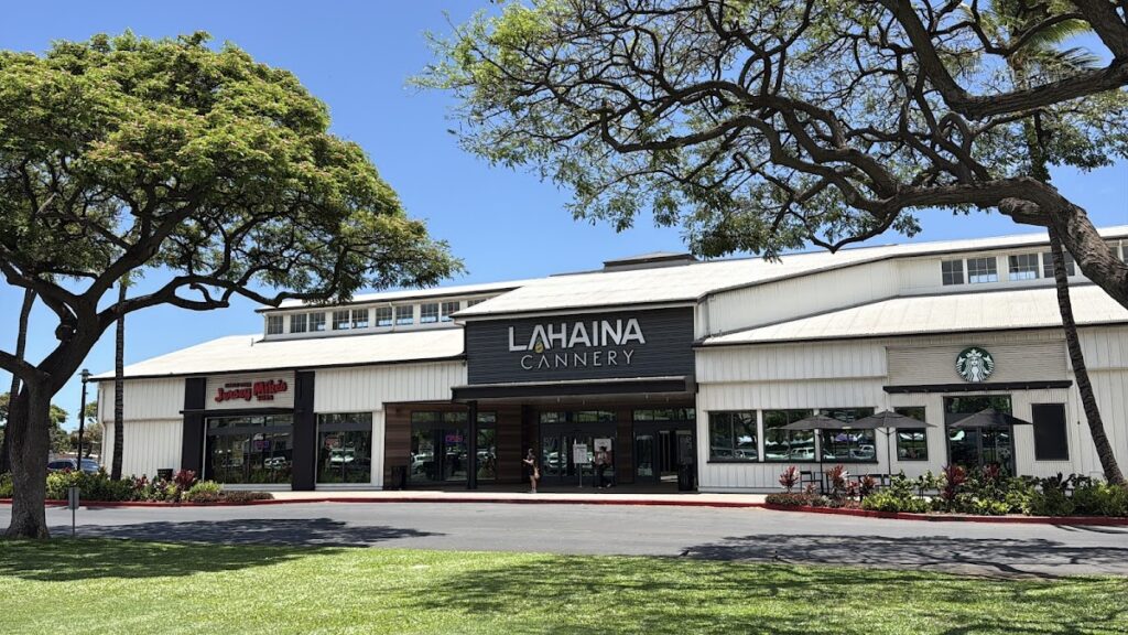 Lahaina Cannery Mall Maui — State Investigates Deaths of Two Endangered Nēnē at Waikōloa Shopping Center | Maui Tom's News