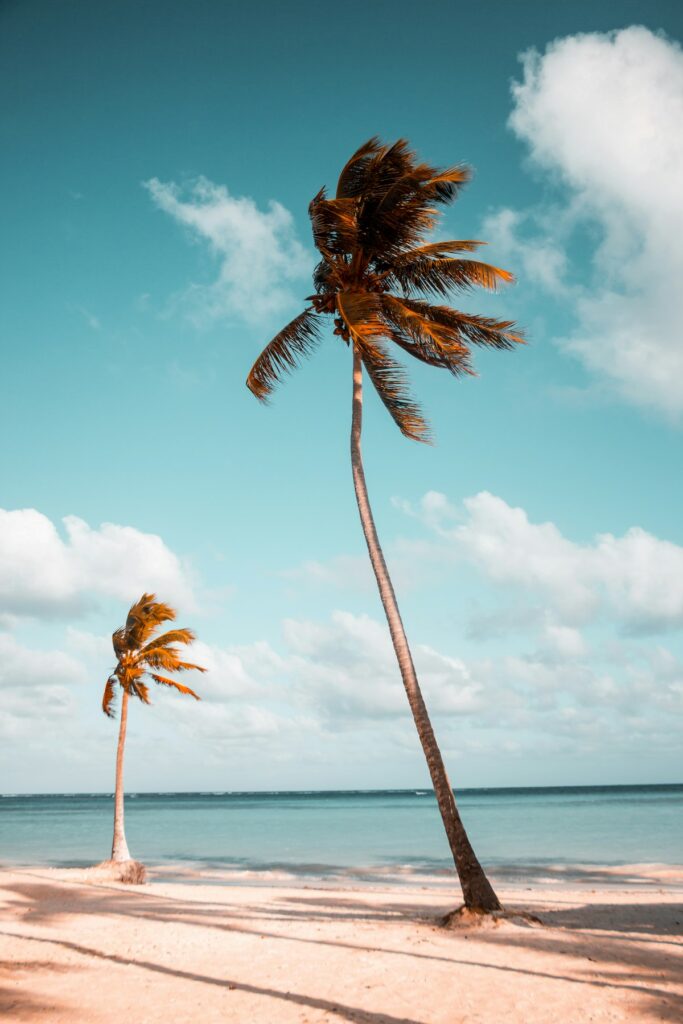 Luxury resort beach — Wailea and Hāna Tourism Destinations Highlighted in Travel Feature | Maui Tom's News