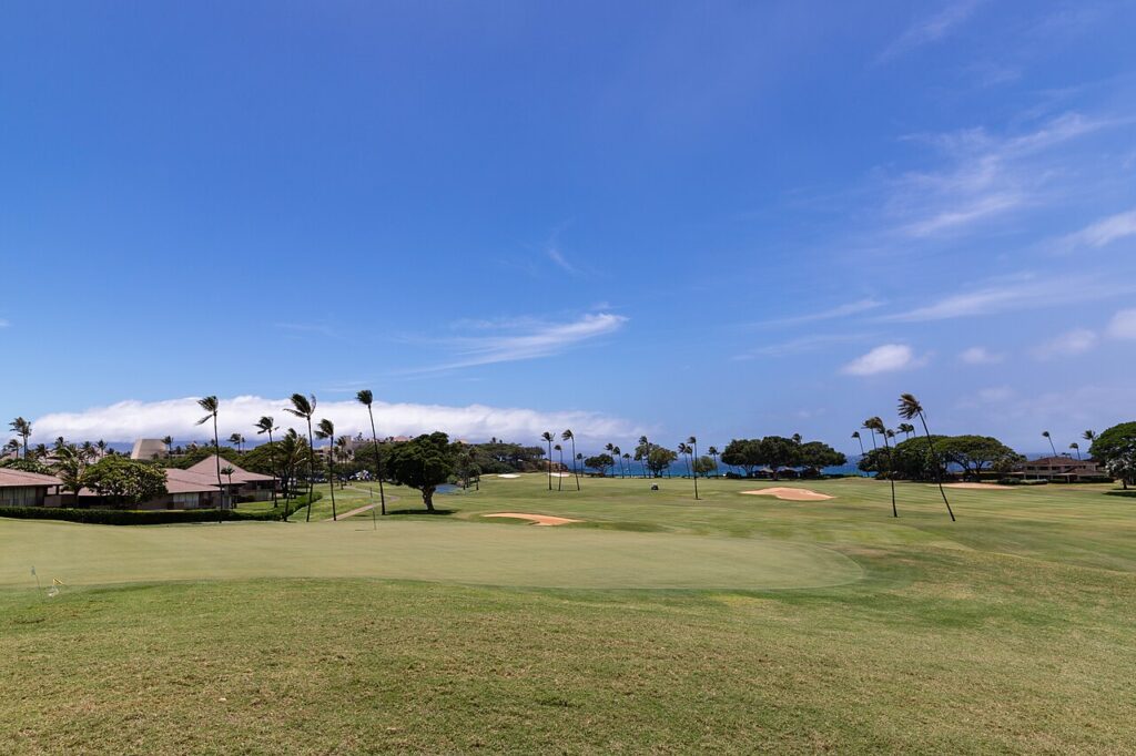 Golf course Ka’anapali Beach Maui Hawaii — Arrest Made After Group Assault of California Visitors at Kaanapali Resort | Maui Tom's News
