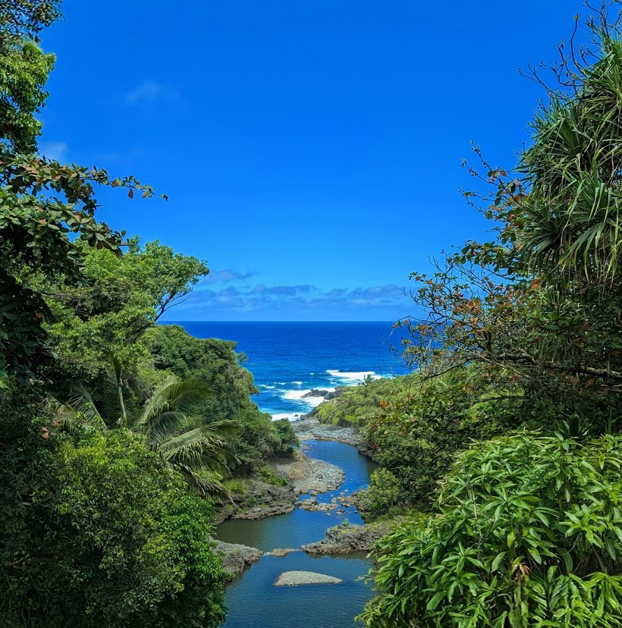 Road to Hana Maui lush jungle green — East Waiko Road Brush Fire Contained by Maui Crews Wednesday Evening | Maui Tom's News