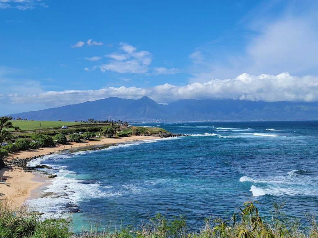 green sea turtle Maui Hawaii beach — Hawaii Awards $1.8M in Wildfire Mitigation Grants Across Five Islands | Maui Tom's News
