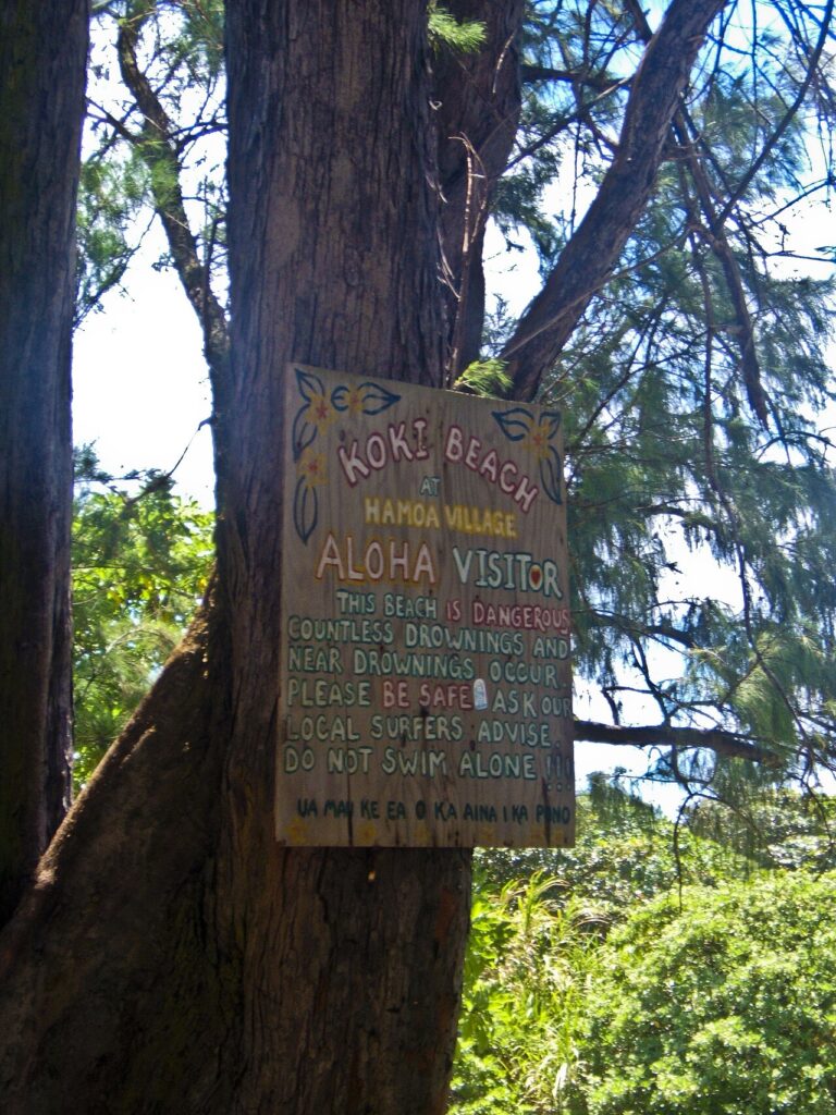 Koki Beach Maui Hawaii 2185205790 o — HTA Selects Maui Groups for 2026 Sustainable Tourism Collaborative Programs | Maui Tom's News