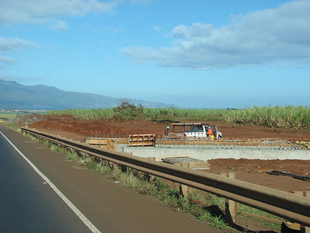 Saccharum officinarum (Ko, sugarcane) Highway construction at Haleakala Hwy, Maui, Hawaii. February 07, 2007 [http://www.starrenvironmental.com/images/search/?q=070207-4254 #070207-4254</a> - — Hurricane Fausto Could Hit Hawaii Next Week — HECO Issues Prep Warning | Maui Tom's News