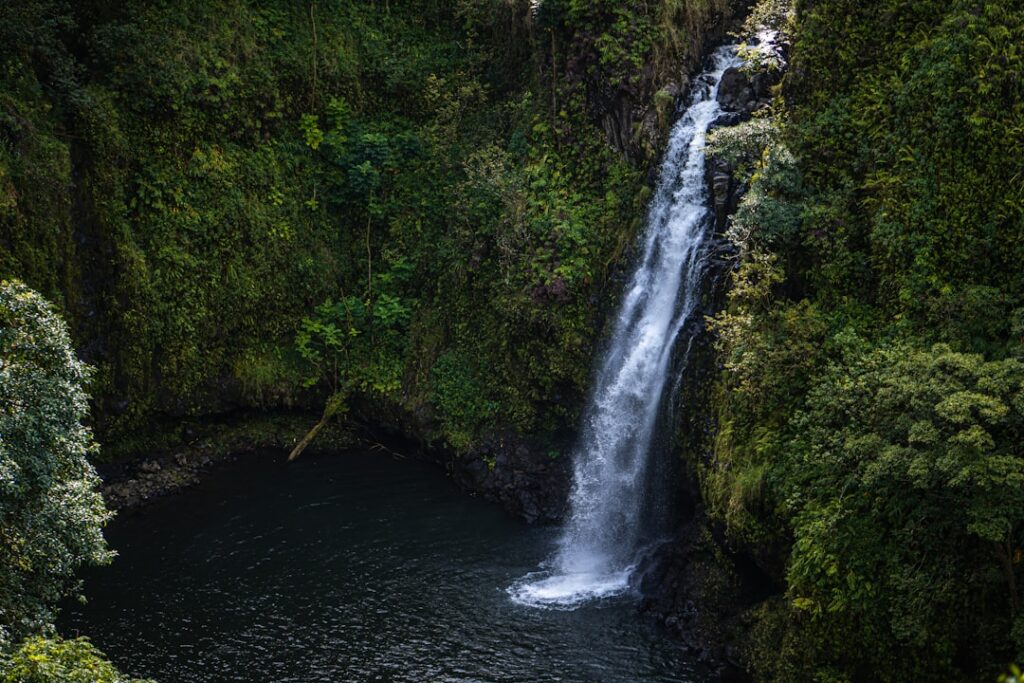 water falls in the middle of green trees — Hurricane Fausto Headed Toward Hawaii; Maui Officials Urge Preparedness | Maui Tom's News