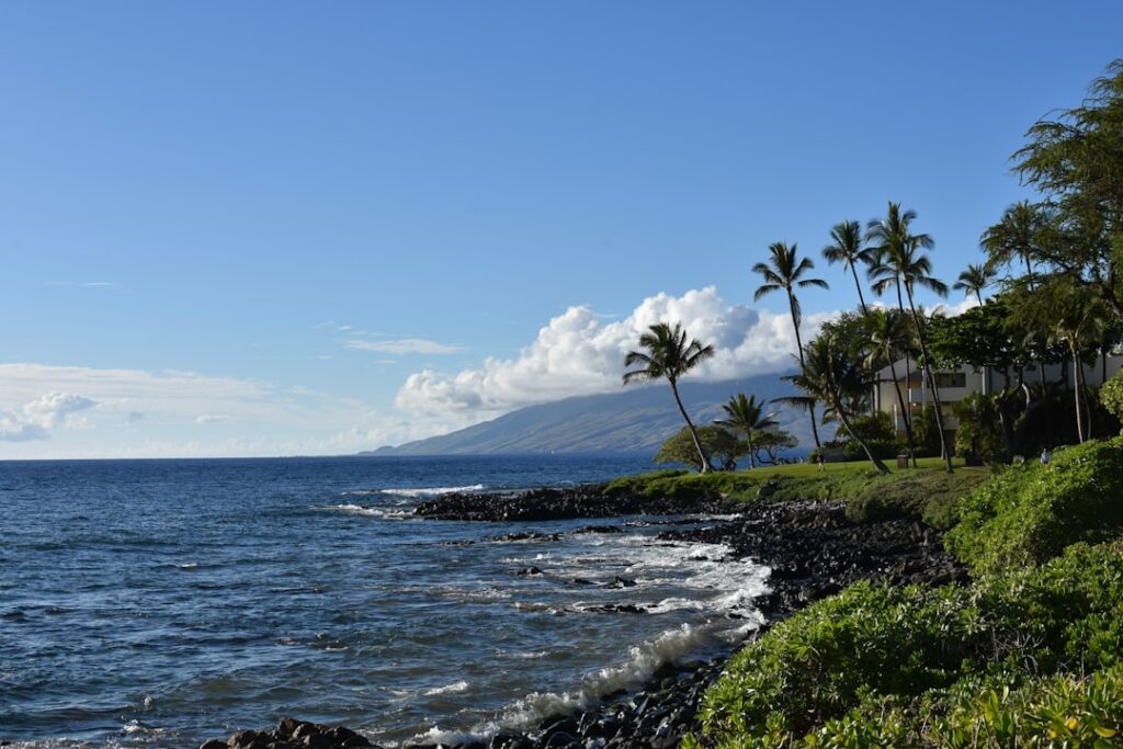 a beach with palm trees and a mountain in the background — Hurricane Fausto Passes North of Hawaii, Bringing Hazardous Surf | Maui Tom's News