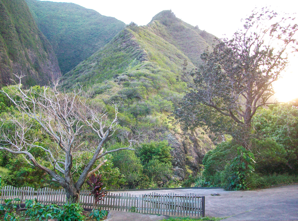 A view of the Iao Valley in Maui, HI, at sunset in December. — Iao Valley Remains Closed Indefinitely; Kepaniwai Gardens Open as Alternative | Maui Tom's News