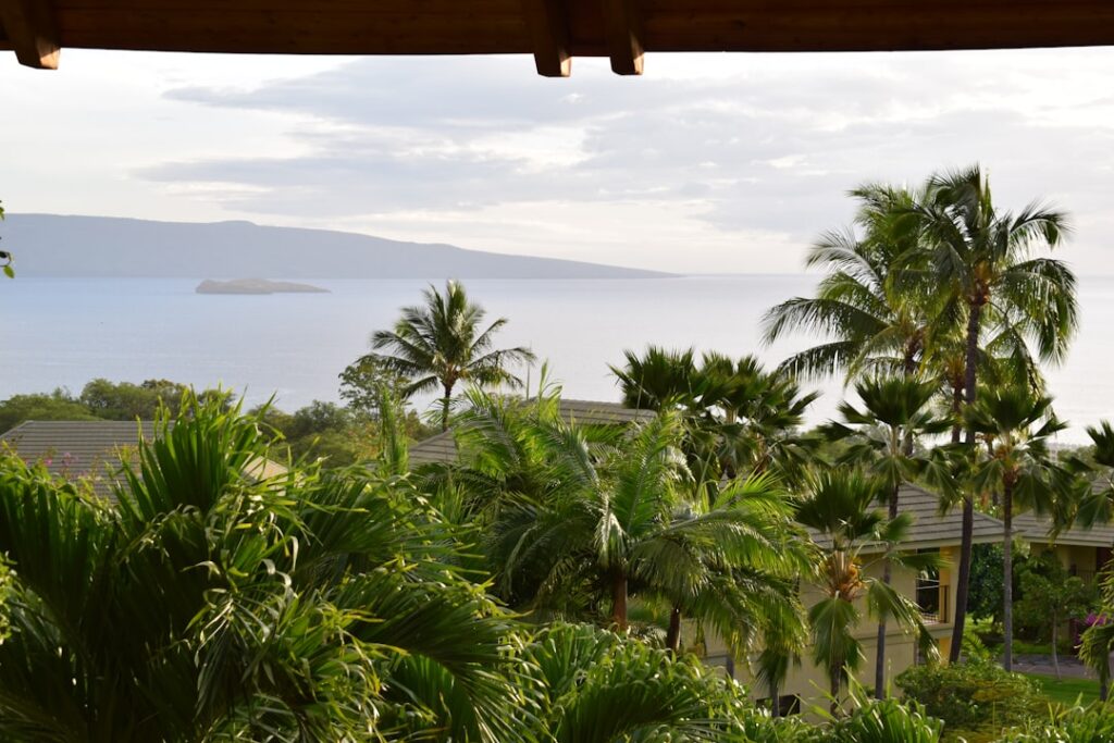 Honeymoon — Maui County Seeks Public Input on Desalination Plans for South and West Maui | Maui Tom's News