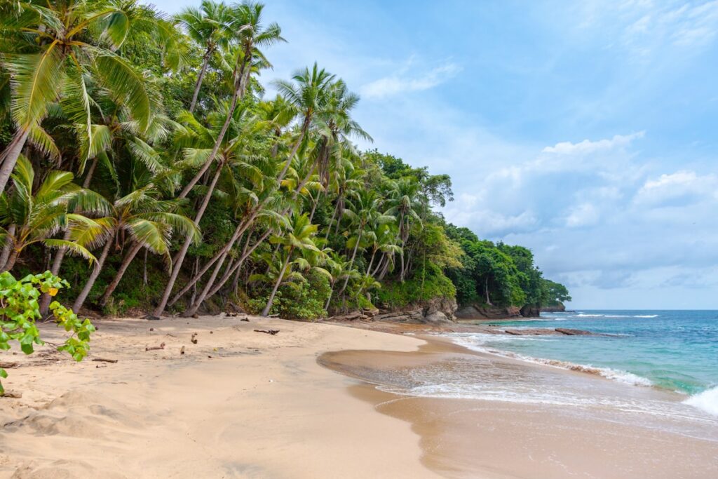 Beach chairs vacation — Maui Now Allows Up to 3 Units Per Lot — But Not for Vacation Rentals | Maui Tom's News
