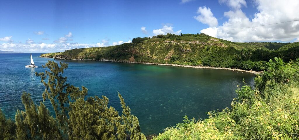 Hawaii Maui Honolua Bay — Maui Ranks Top 5 in U.S. Domestic Travel Search Demand | Maui Tom's News