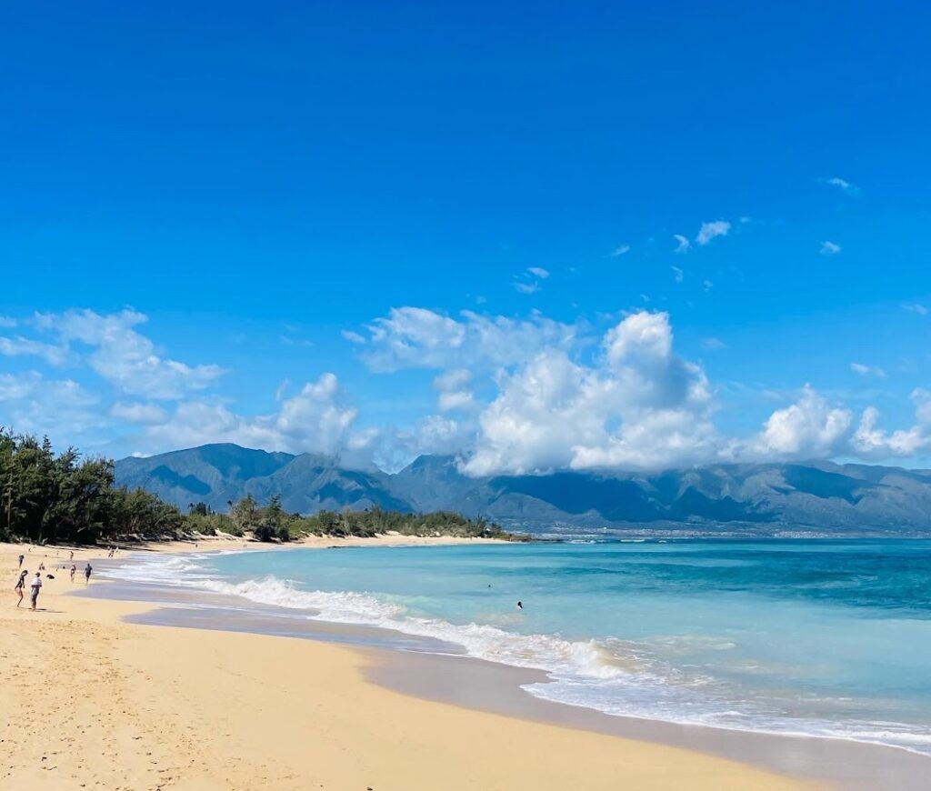 Baldwin Beach Park Maui — Native Plant Project Aims to Restore Eroding Baldwin Beach Dunes | Maui Tom's News