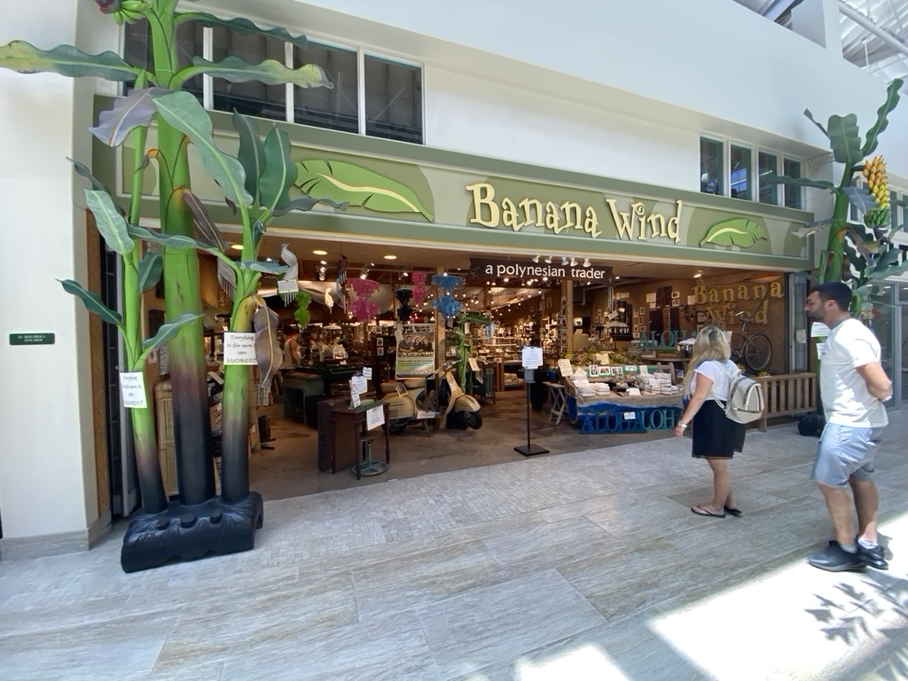 Lahaina Front Street Maui shops — UH Study: Maui Fire Survivors Gaining Ground, But Housing and Mental Health Struggles Persist | Maui Tom's News