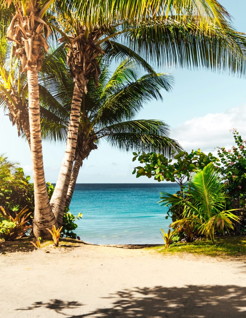 White sand beach ocean — Back-to-Back Storms Moke and Lala Disrupt Maui Travel Plans This Week | Maui Tom's News