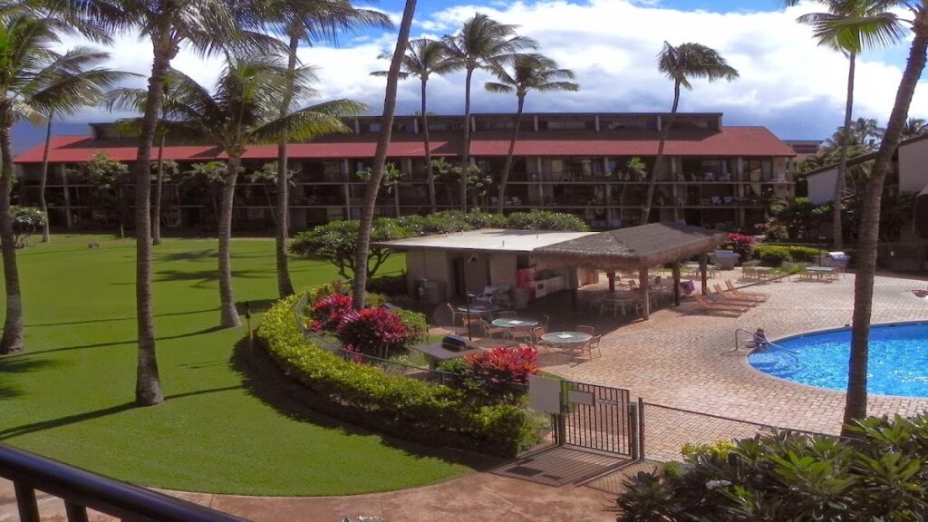 Resort pool area with palm trees, sun loungers, and a thatched gazebo beside a circular blue pool.