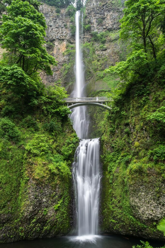 Jungle waterfall paradise — East Maui Water Authority Opens $150K Grant Round for Watershed Projects | Maui Tom's News