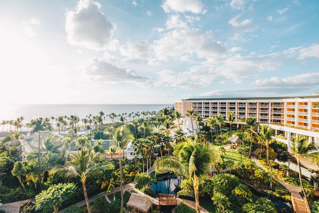Grand Wailea Maui Resort — Four Seasons Wailea Opens All-Day Café and Retail Concept with Madhappy | Maui Tom's News