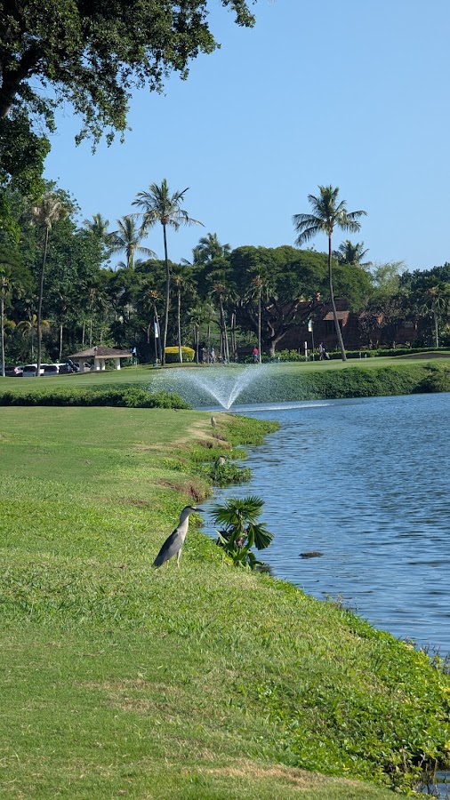 Ka'anapali Kai Golf Course Maui — Free Kids Fishing Tournament Planned Aug. 22 at Kā'anapali Golf Course | Maui Tom's News